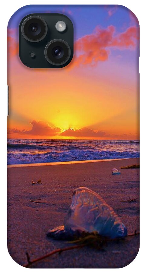 Man-o-war iPhone Case featuring the photograph Lonely Man O War by Catie Canetti