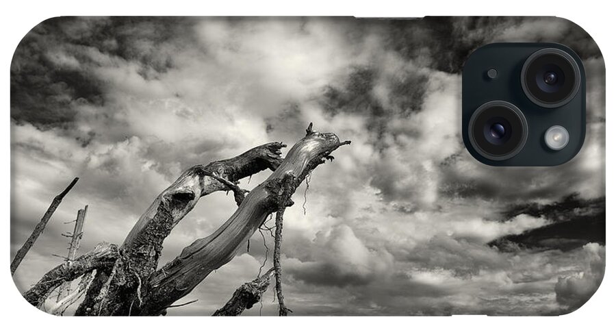 Roots iPhone Case featuring the photograph Lonely Tree Roots Reaching For The Sky by Christian Lagereek