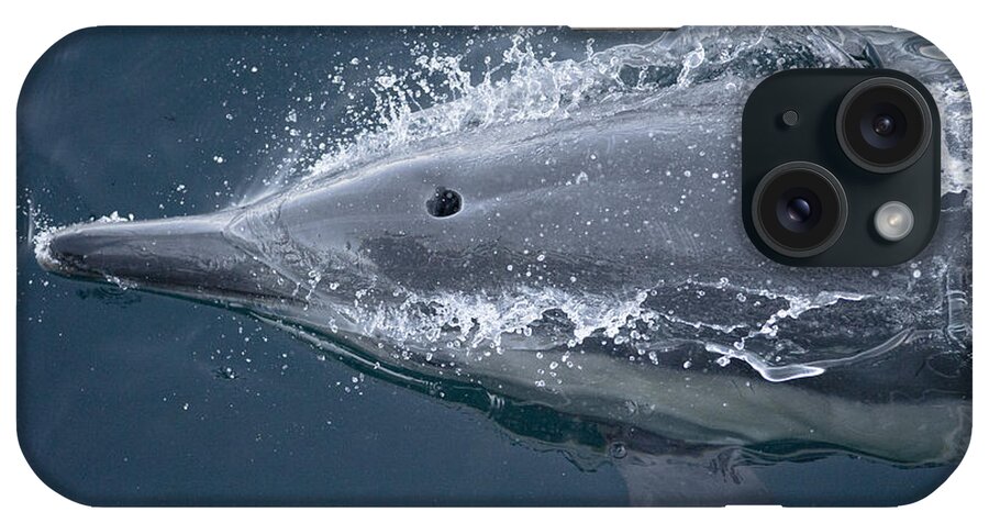 Feb0514 iPhone Case featuring the photograph Long-beaked Common Dolphin Baja by Flip Nicklin