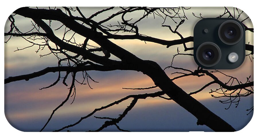 Sunset iPhone Case featuring the photograph Long Branch by Carol Milisen