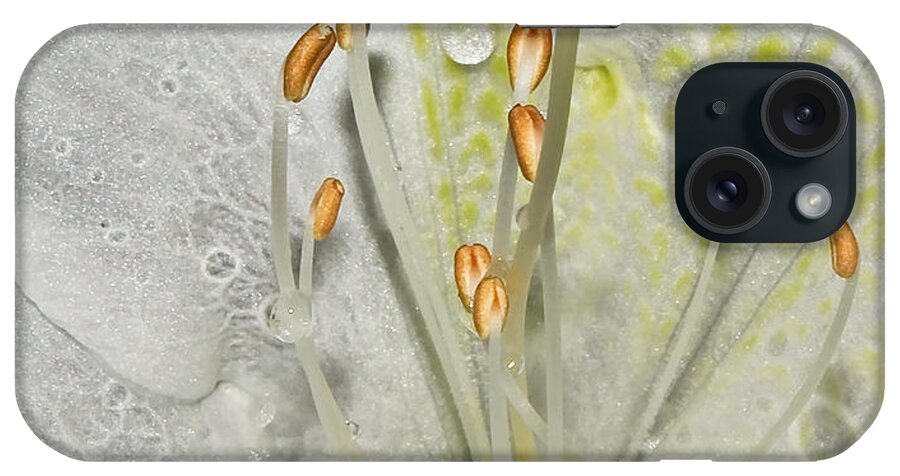 White Azalea iPhone Case featuring the photograph Look Inside A White Azalea by Tammy Schneider