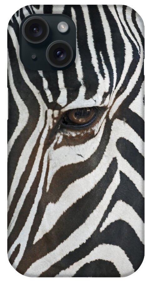 Zebras iPhone Case featuring the photograph Look into my eye by Ernest Echols