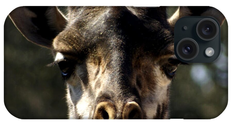 Giraffe iPhone Case featuring the photograph Look into my eyes by Chauncy Holmes