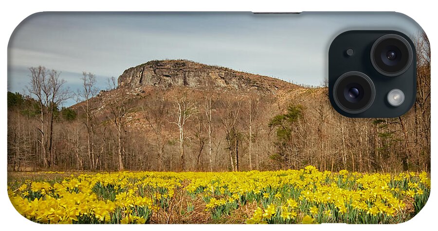 Daffodils iPhone Case featuring the photograph Looking at Shortoff Mountain through the Daffodils by Mark Steven Houser