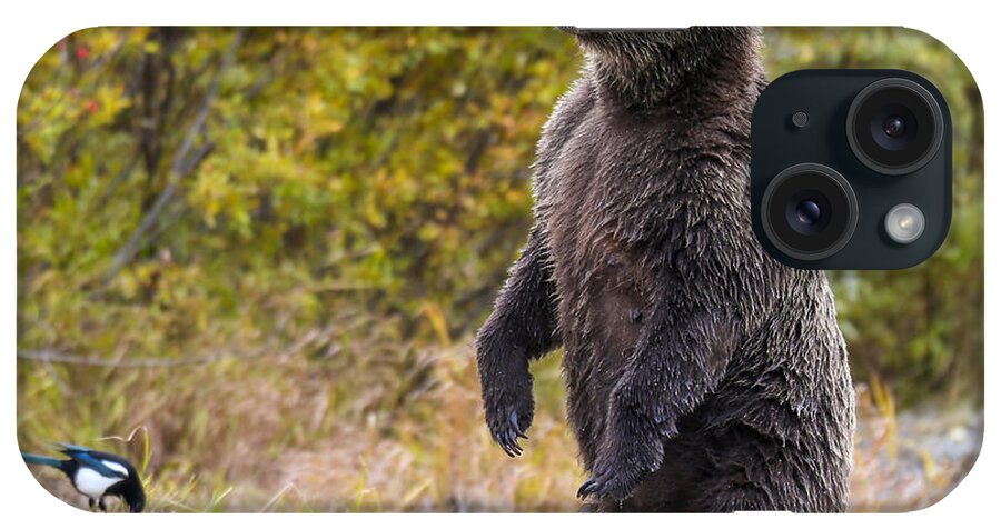 Bear iPhone Case featuring the photograph Looking For Trouble by Kevin Dietrich