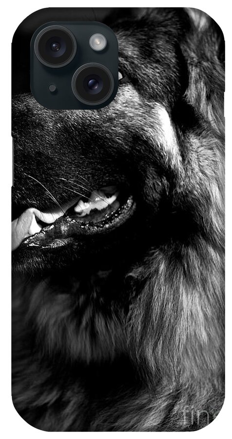 Kingshepherddog iPhone Case featuring the photograph Portrait of a King Shepherd Dog by Frank J Casella