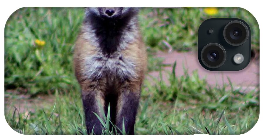 Baby Fox iPhone Case featuring the photograph Take Me Home by Fiona Kennard