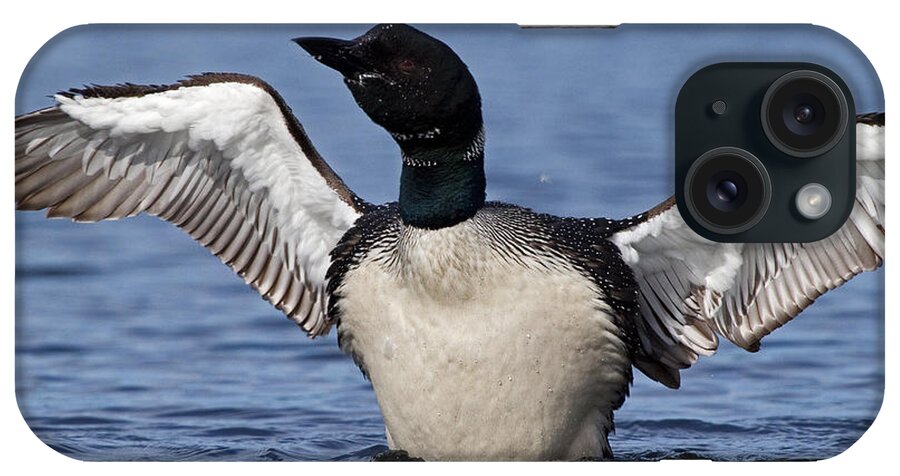 Loon iPhone Case featuring the photograph Loon Dance by Stephanie McDowell
