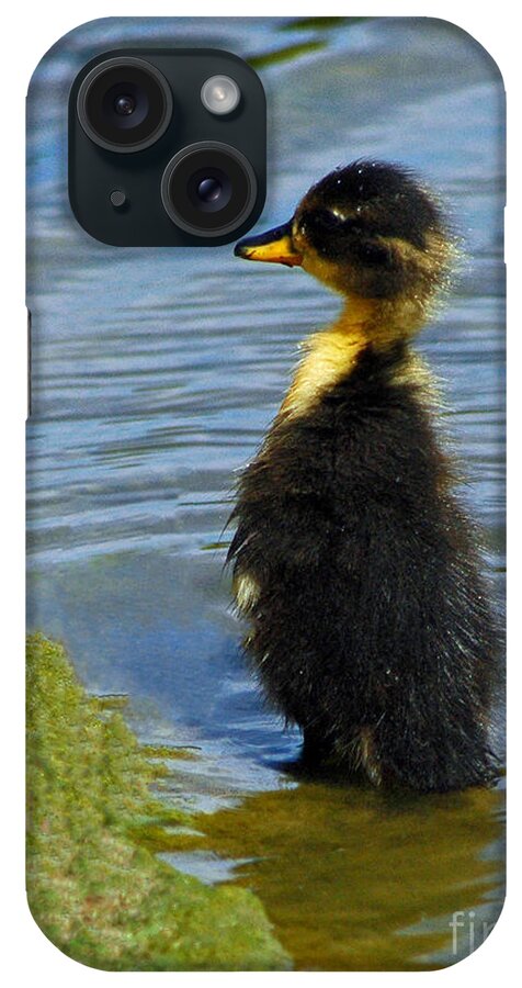 Nature iPhone Case featuring the photograph Lost Duckling by Olivia Hardwicke