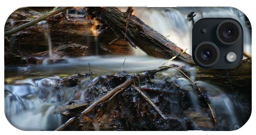 Water iPhone Case featuring the photograph Lost in the Woods by Loni Collins