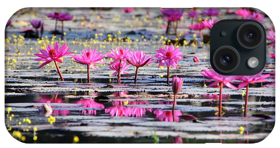 Aquatic iPhone Case featuring the photograph Lotus flowers by Amanda Mohler