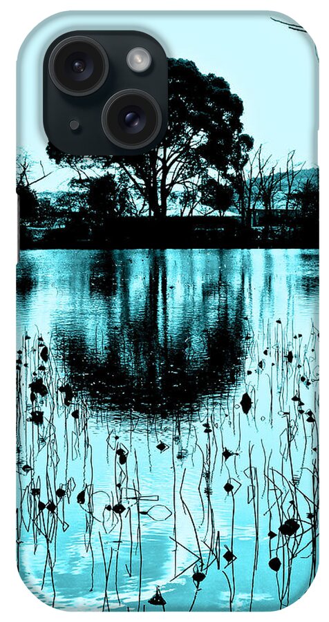 Lotus iPhone Case featuring the photograph Lotus Pond - Winter by Larry Knipfing