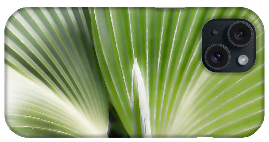 David Lawson Photography iPhone Case featuring the photograph Loulu Light by David Lawson