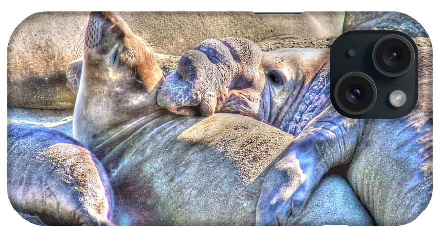Elephant Seals iPhone Case featuring the photograph Love Hug - San Simeon California by Tap On Photo
