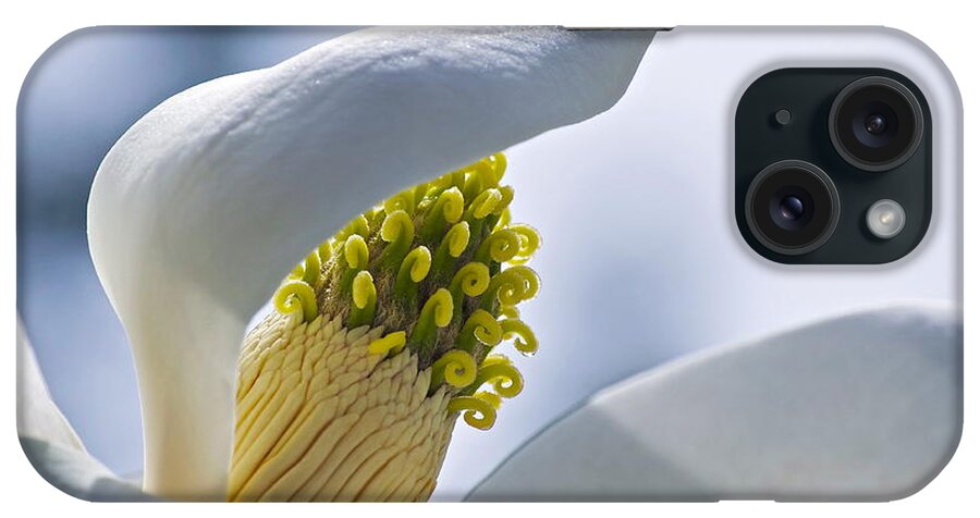 Magnolia iPhone Case featuring the photograph Love of Nature by Gwyn Newcombe