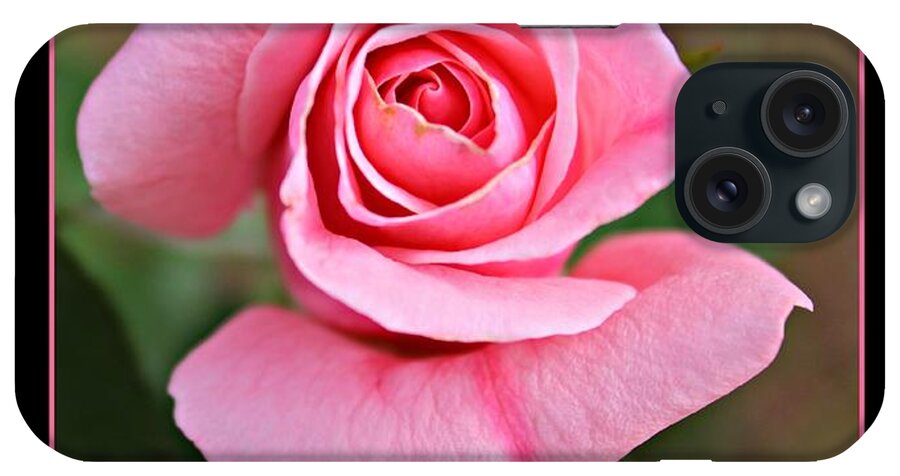 Roses iPhone Case featuring the photograph Love Roses by Clare Bevan