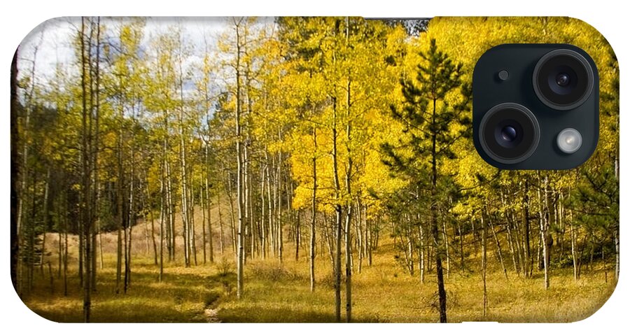Autumn iPhone Case featuring the photograph Lovel Gulch Trail by Steven Krull