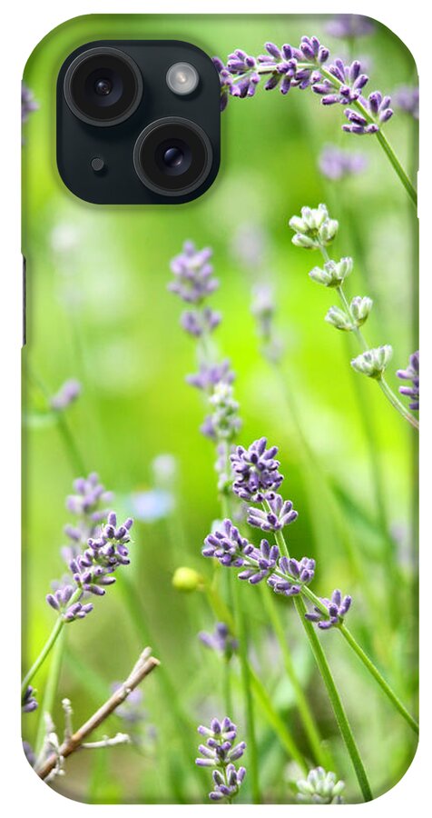 Flowers iPhone Case featuring the photograph Lovely Lavender by Trina Ansel