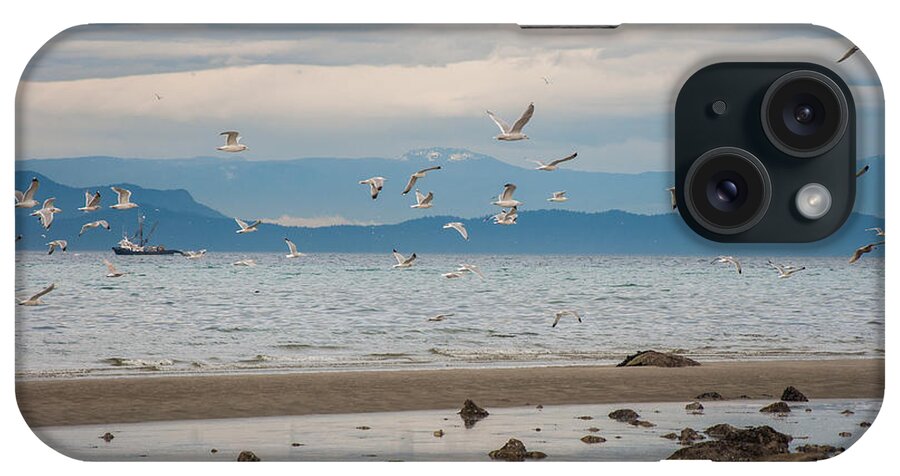 Low Tide iPhone Case featuring the photograph Herring Season #1 by Roxy Hurtubise