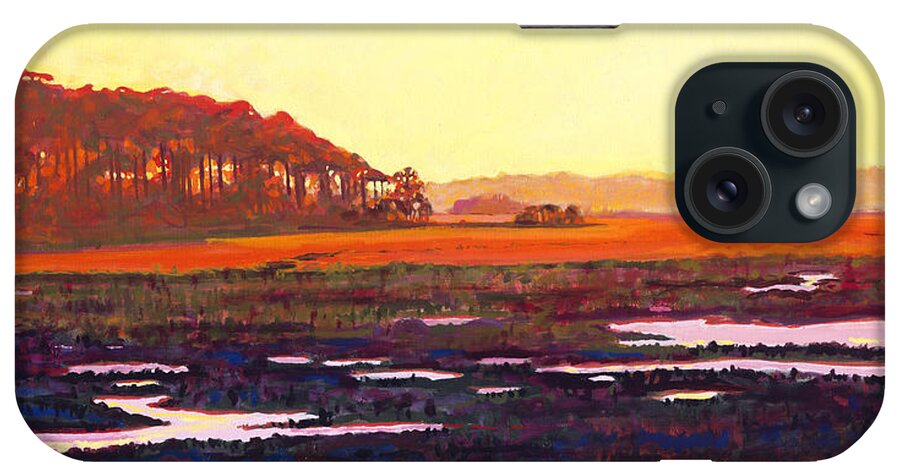 Marsh iPhone Case featuring the painting Low Tide by David Randall