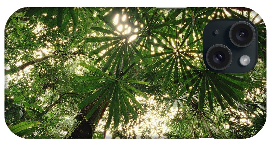 00200724 iPhone Case featuring the photograph Lowland Tropical Rainforest Fan Palms by Gerry Ellis