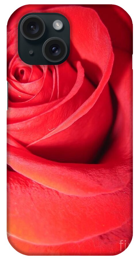 Floral iPhone Case featuring the photograph Luminous Red Rose 6 by Tara Shalton