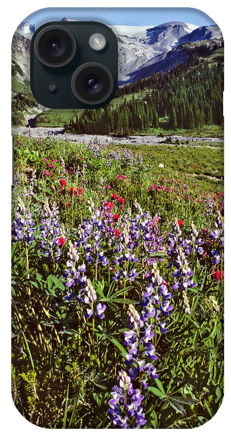 Alpine iPhone Case featuring the photograph Lupine and Paintbrush Blooming at Indian Bar by Jeff Goulden