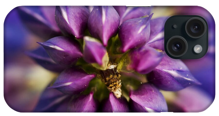 Lupine iPhone Case featuring the photograph Lupine Kaleidoscope by John Vose