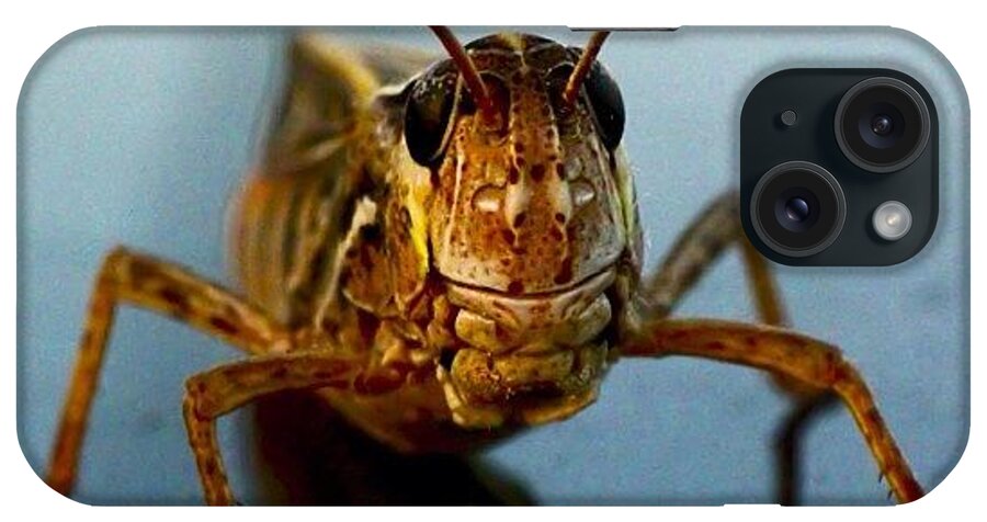  iPhone Case featuring the photograph Macro by Sara Dlg