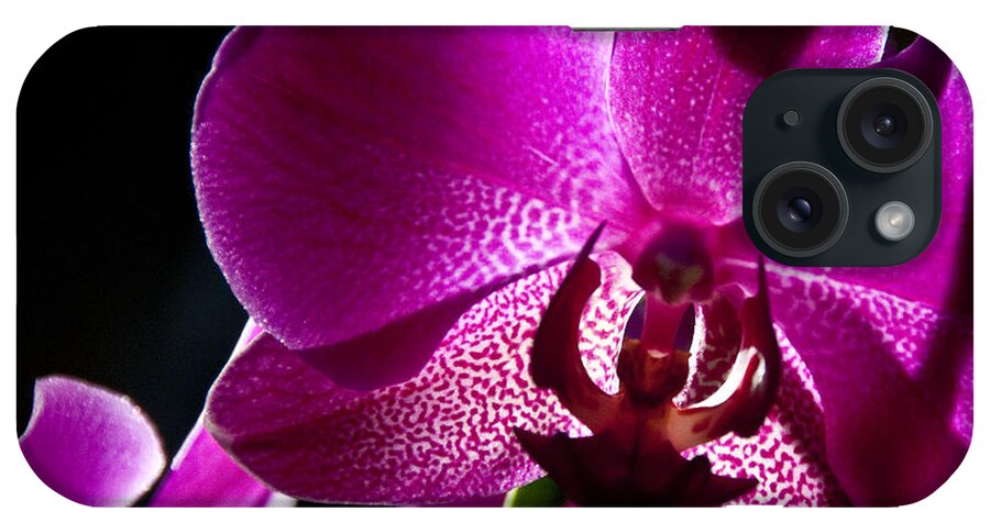 Moth Orchid iPhone Case featuring the photograph Magenta Orchid by Ron White