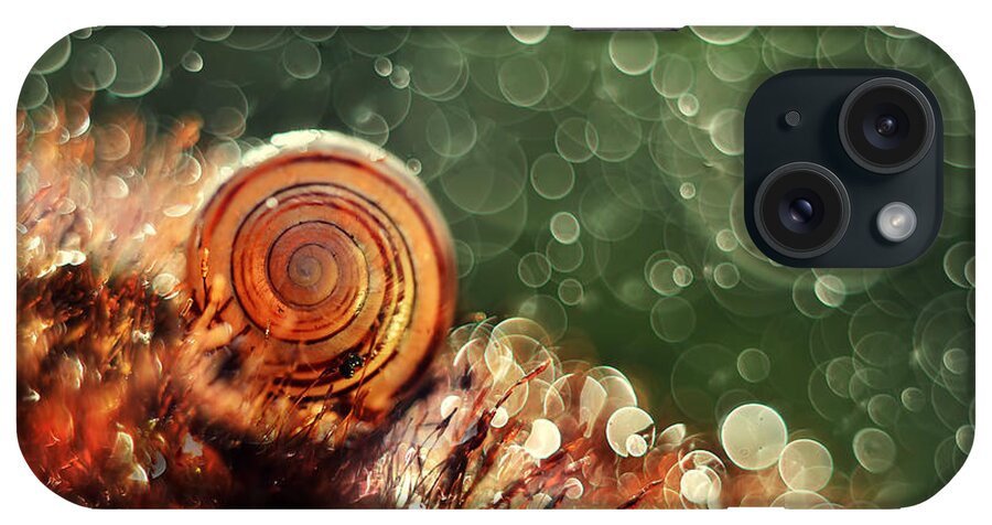 Snail iPhone Case featuring the photograph Magic forest #1 by Jaroslaw Blaminsky