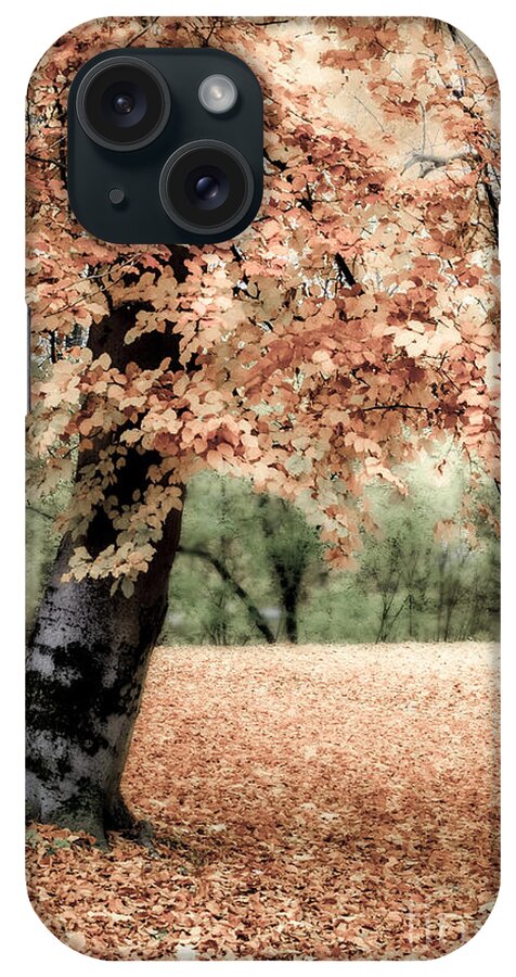 Autumn iPhone Case featuring the photograph Magical Fall by Hannes Cmarits