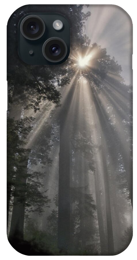 Forest iPhone Case featuring the photograph Magical Morning by Betty Depee