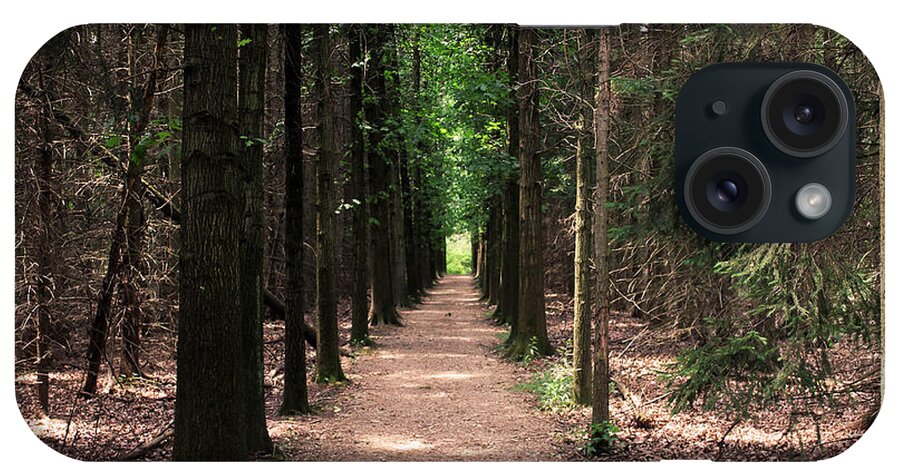 Trees iPhone Case featuring the photograph Magical Path by Bruce Patrick Smith