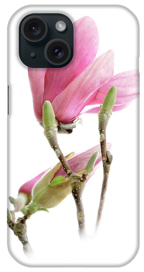 Andee Design Magnolia iPhone Case featuring the photograph Magnolia Blossoms by Andee Design