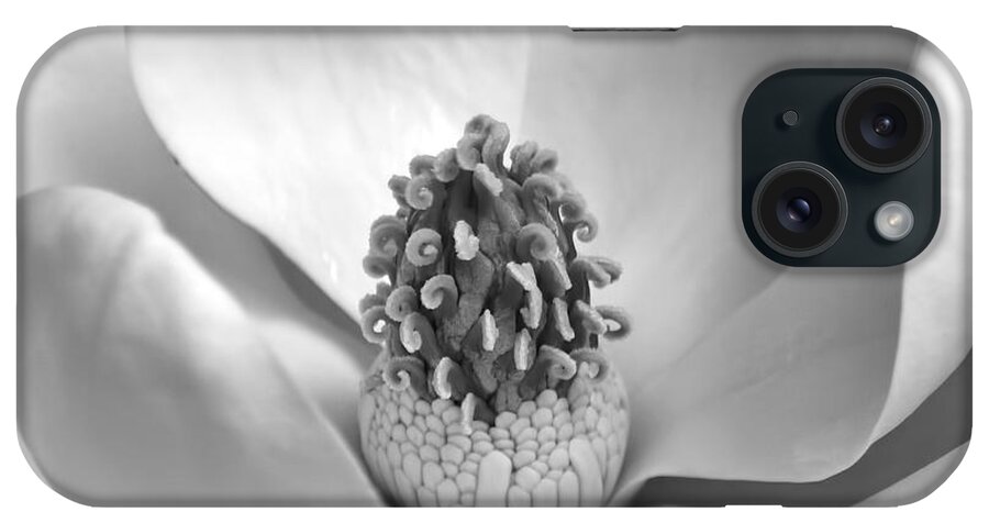Jemmy Archer iPhone Case featuring the photograph Magnolia BW by Jemmy Archer
