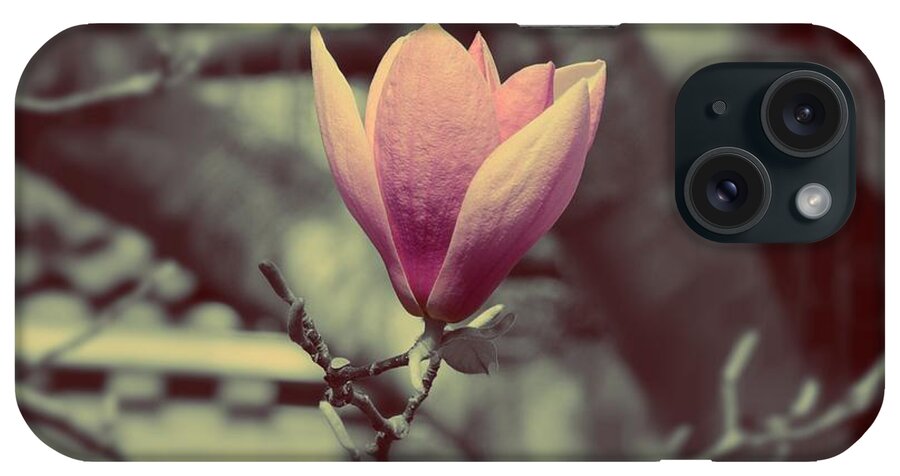Magnolia iPhone Case featuring the photograph Magnolia flower by Marianna Mills