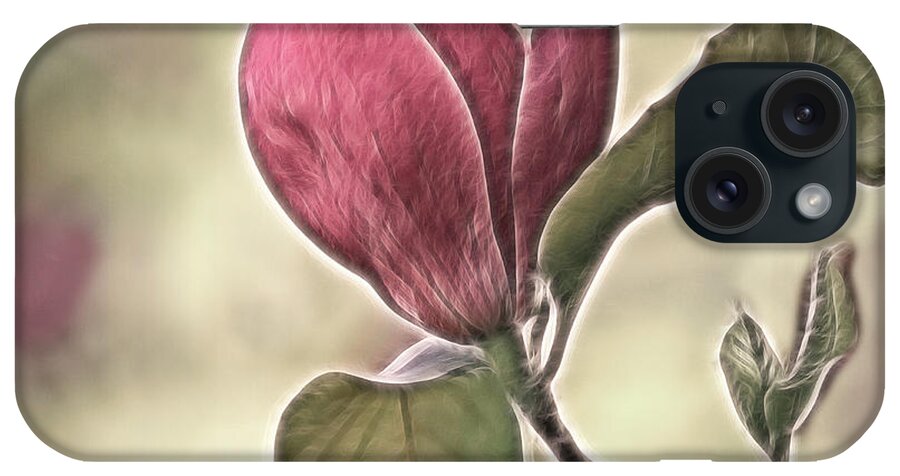 Magnolia iPhone Case featuring the photograph Magnolia Glow by Susan Candelario