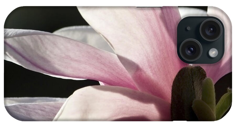 Flowers iPhone Case featuring the photograph Magnolia II by Michael Friedman
