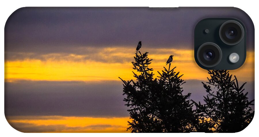 Magpies iPhone Case featuring the photograph Magpies at Sunrise by James Truett