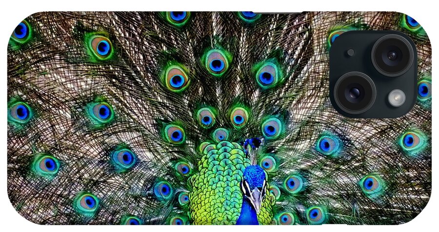 Peacocks iPhone Case featuring the photograph Majestic Blue by Karen Wiles