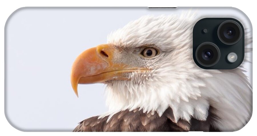 Eagle iPhone Case featuring the photograph Majestic by Donald J Gray