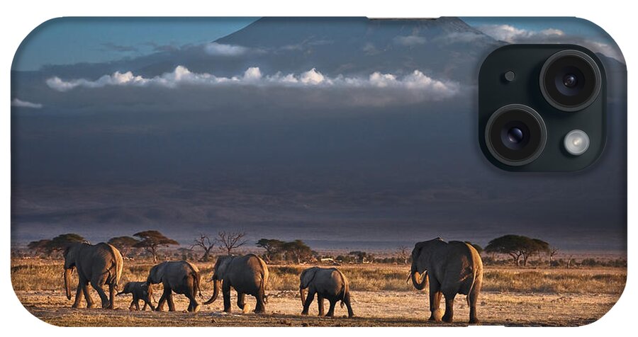 Mountain iPhone Case featuring the photograph Majestic Mount Kilimanjaro - OMG by Gary Keesler