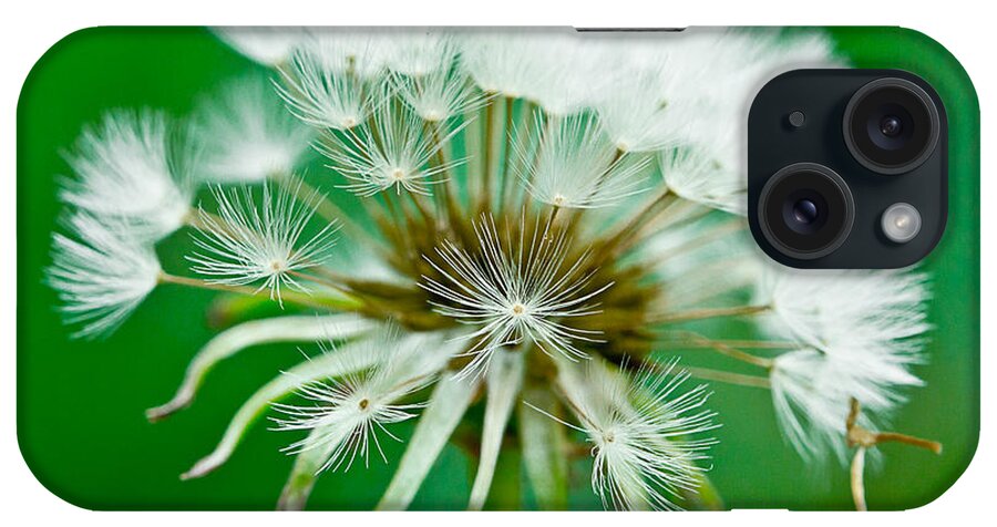 fort Smith iPhone Case featuring the photograph Make a Wish by Annette Hugen