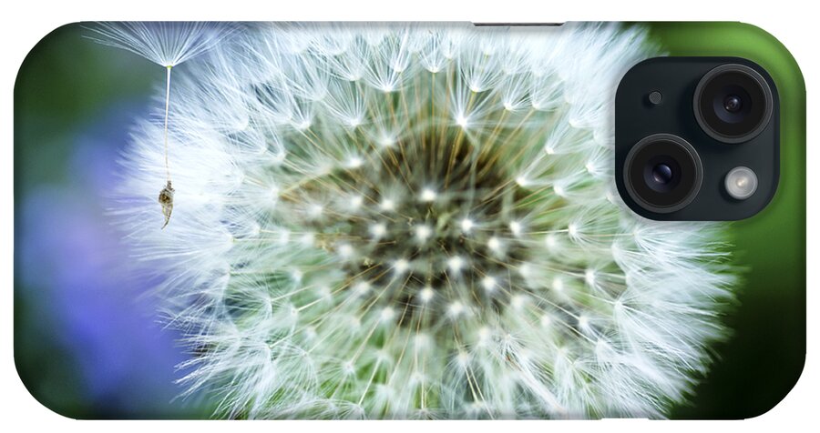 Blowball iPhone Case featuring the photograph Make a Wish by Christi Kraft