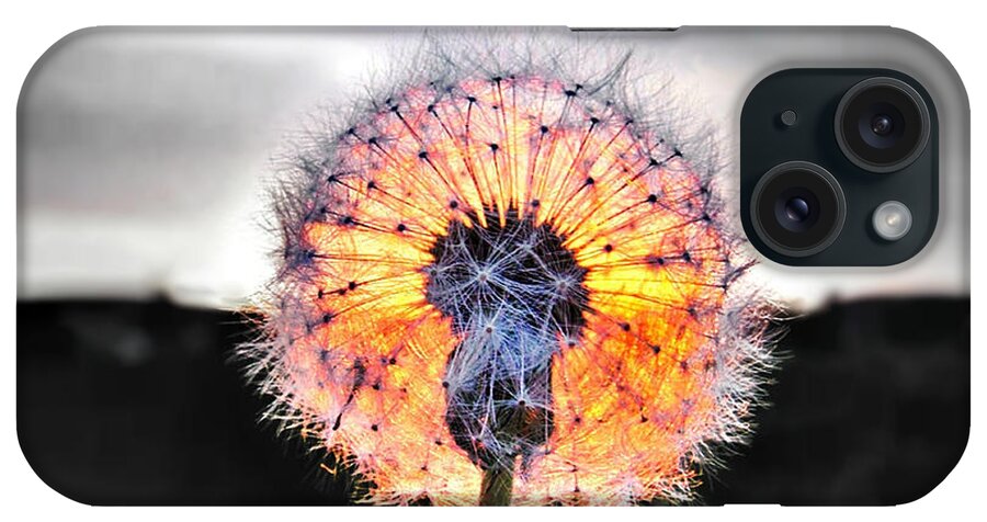 Make A Wish iPhone Case featuring the photograph Make a Wish by Marianna Mills