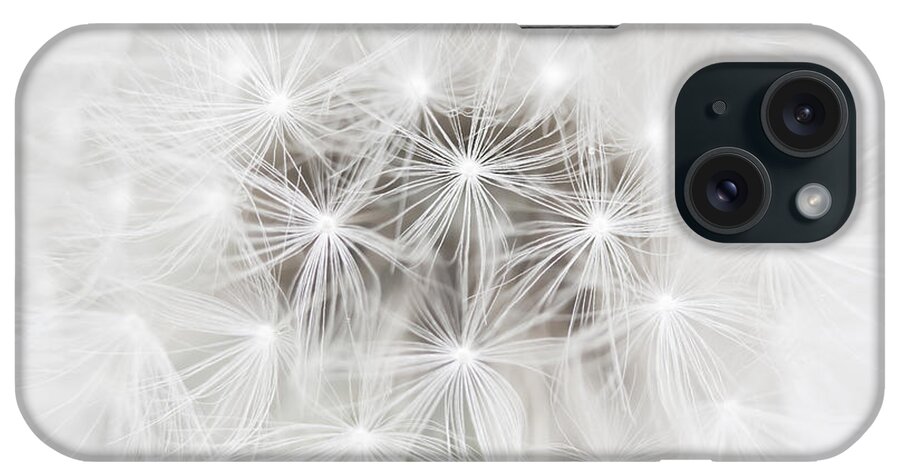 Dandelion iPhone Case featuring the photograph Make a Wish by Patty Colabuono
