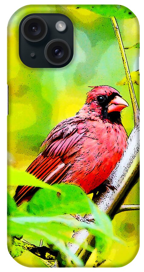 Male Cardinal iPhone Case featuring the photograph Male Cardinal - Artsy by Kerri Farley