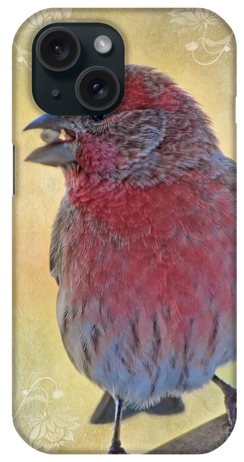 Nature iPhone Case featuring the photograph Male housefinch with corner decorations by Debbie Portwood