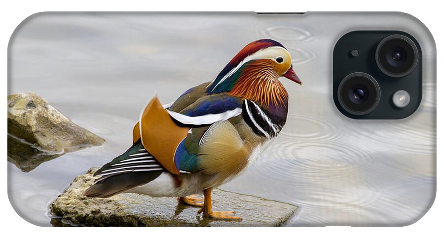 Duck iPhone Case featuring the photograph Mandarin by Chris Smith